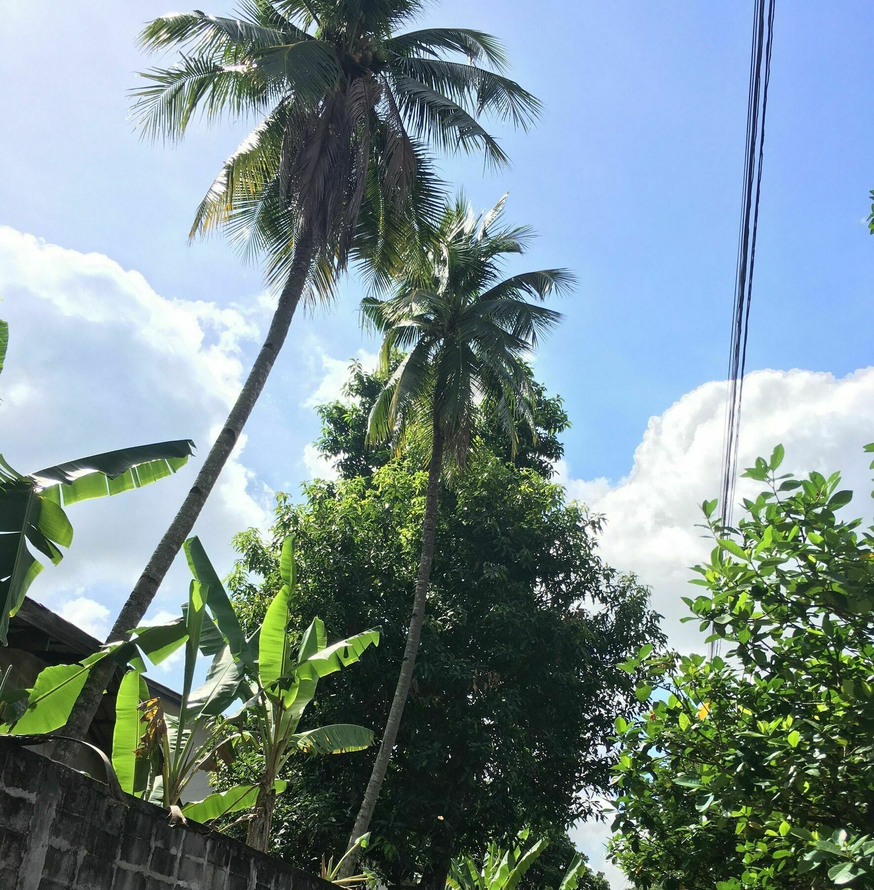 Him Dara Homestay Chiang Mai Esterno foto