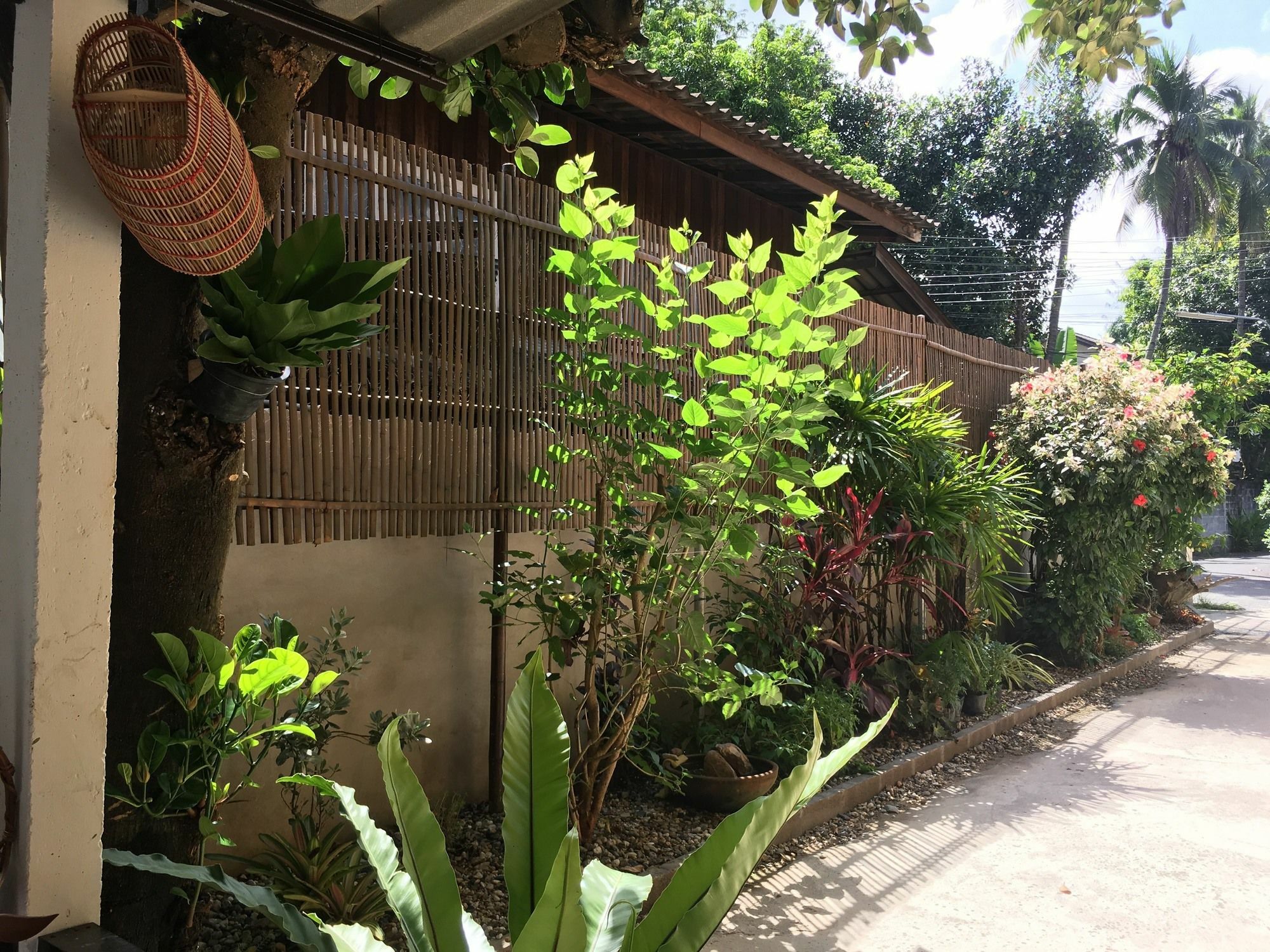 Him Dara Homestay Chiang Mai Esterno foto